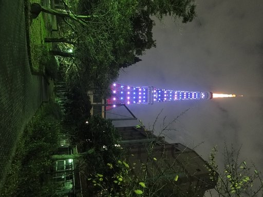 紫？っぽいタワー