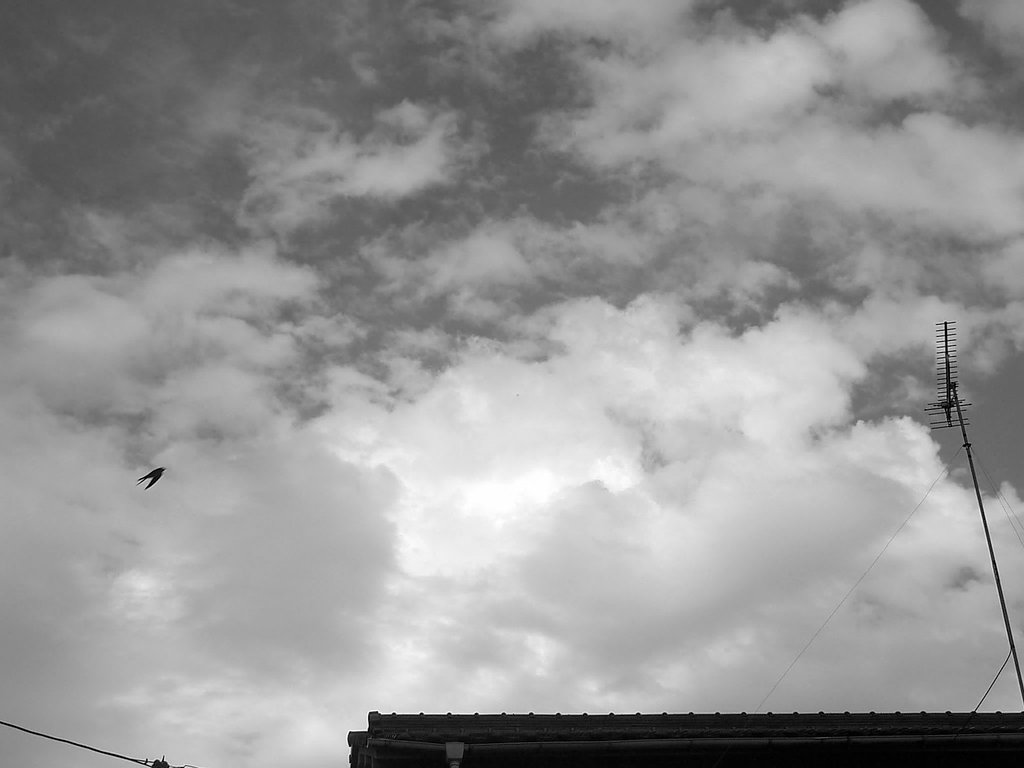 夏空