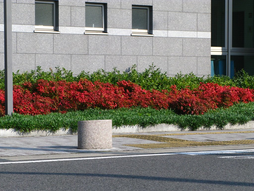【秋】市役所にも