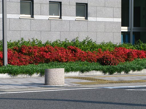 【秋】市役所にも