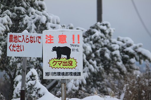 クマが出るぞ〜〜