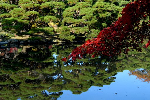 日本庭園の紅葉