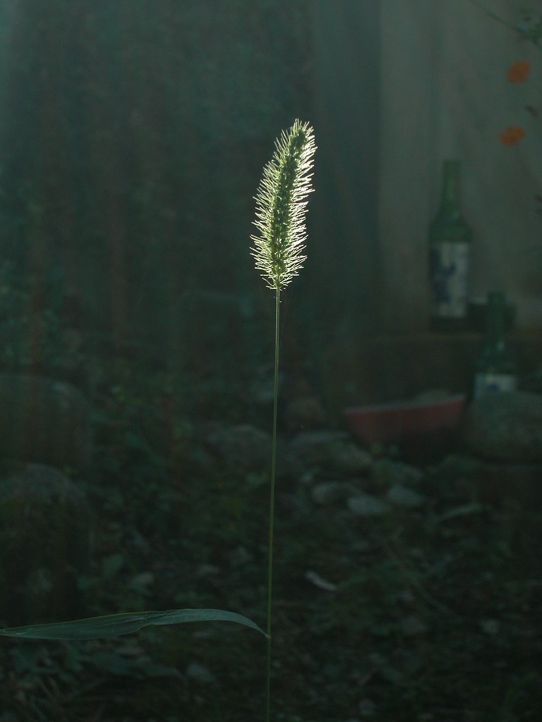 1人芝居