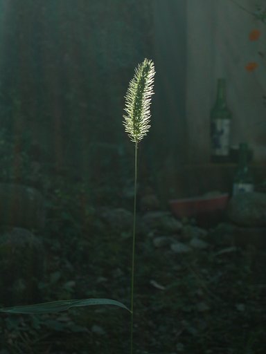 1人芝居