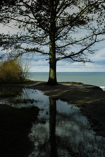 Baltic Sea