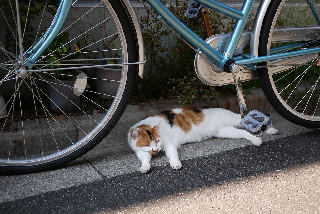疲れたにぁ〜