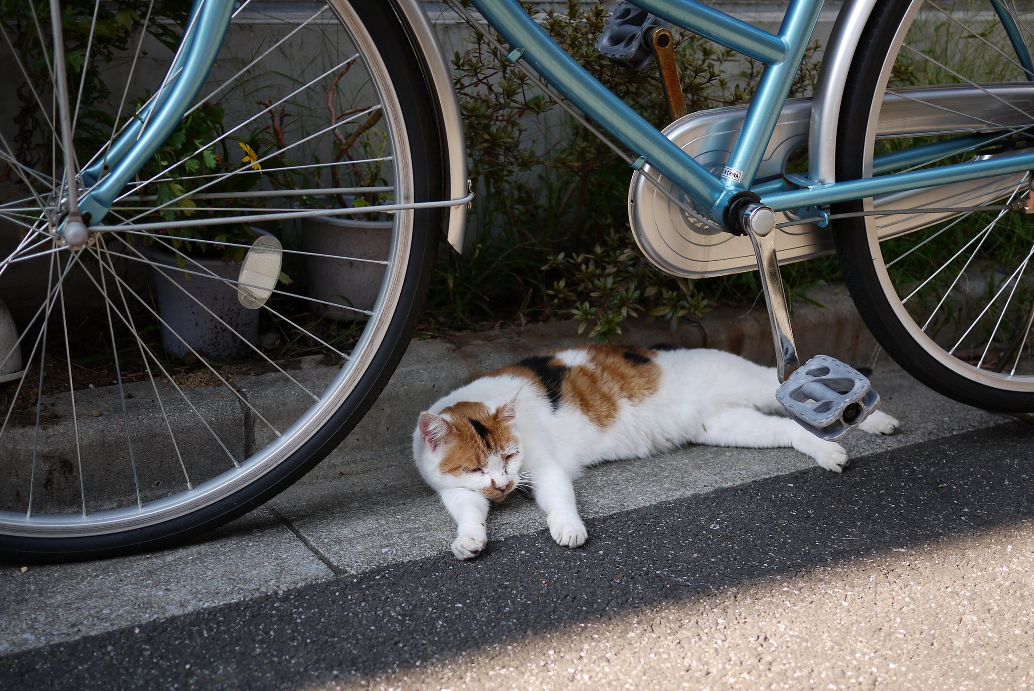 疲れたにぁ〜