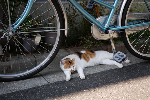疲れたにぁ〜