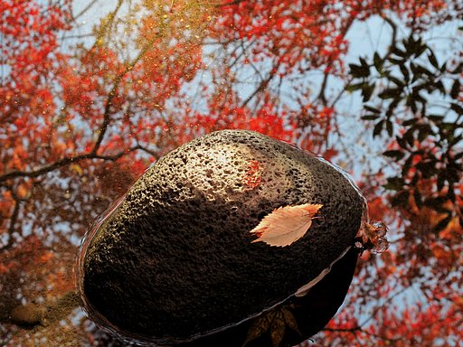 水面の紅葉