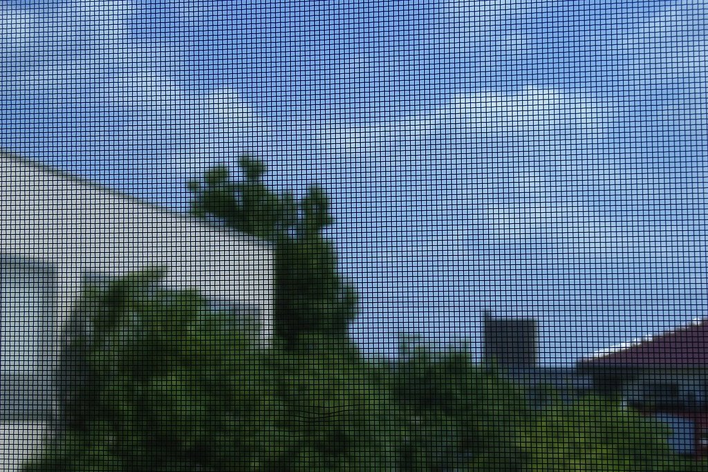 網戸