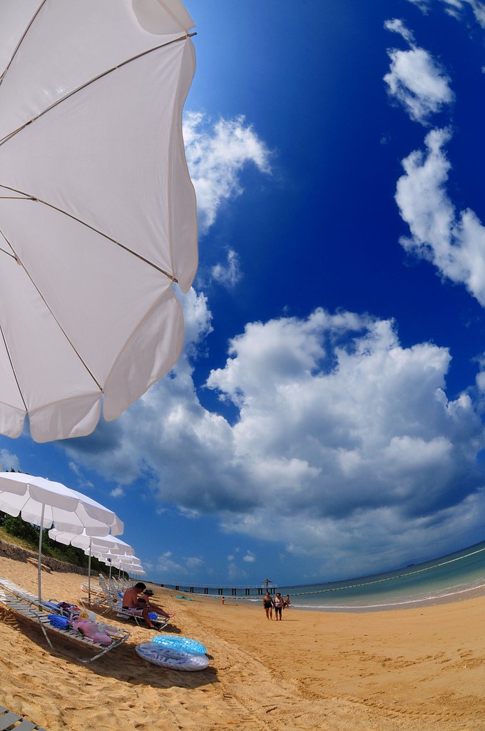 AF DX Fisheye-Nikkor 10.5mm/F2.8G ED