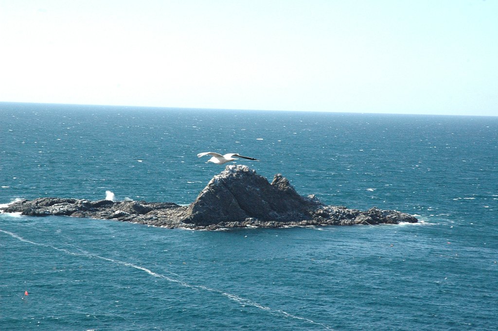 【水】海
