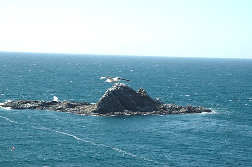 【水】海