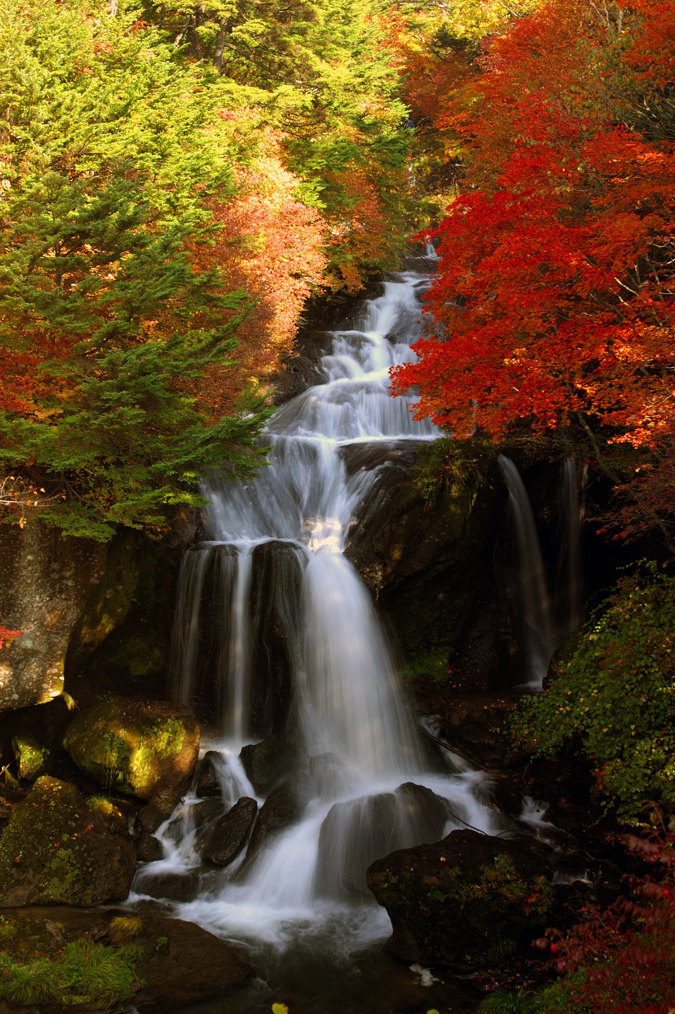 そろそろ紅葉のシーズンですね