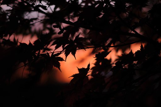 夕暮れ