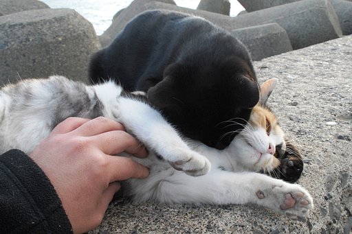 もてモテｗ