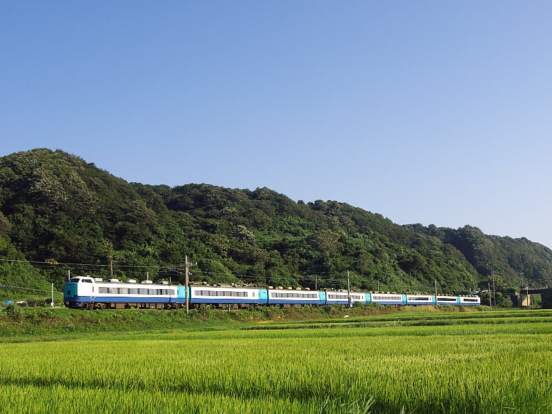 いなほ