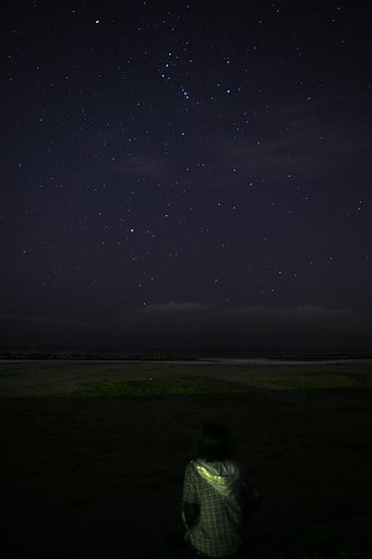 見上げる星空