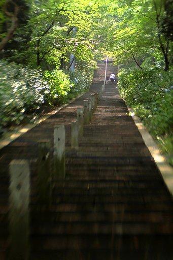長ーい階段