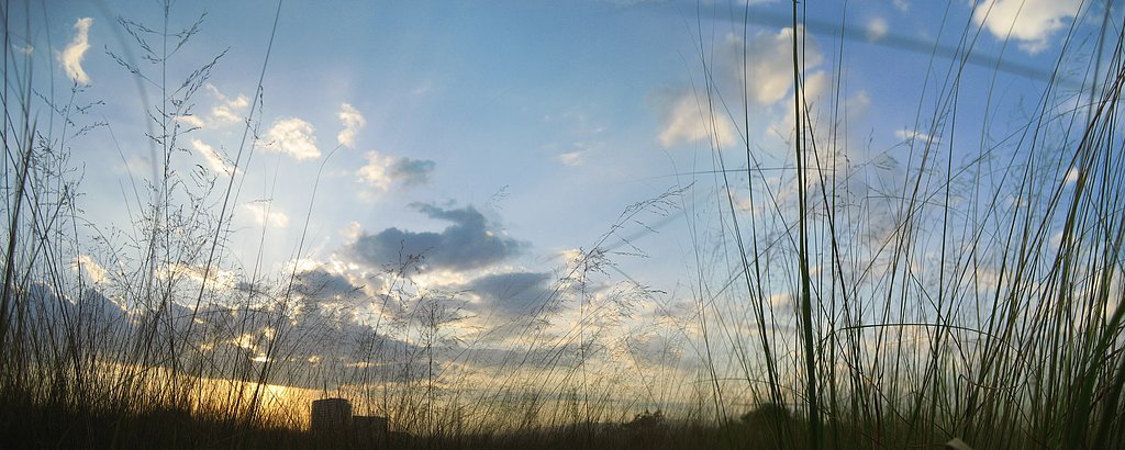 淀野原の夕暮れ