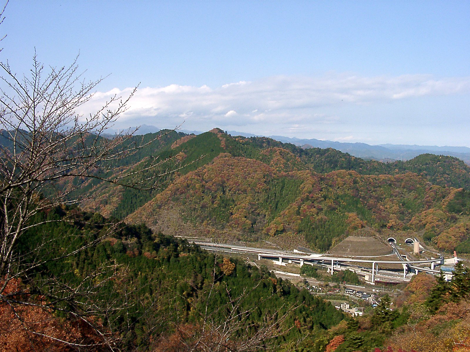 ▲高尾山の晩秋-09
