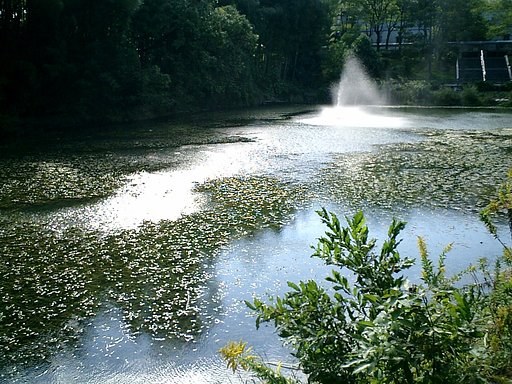 【水】光の景色