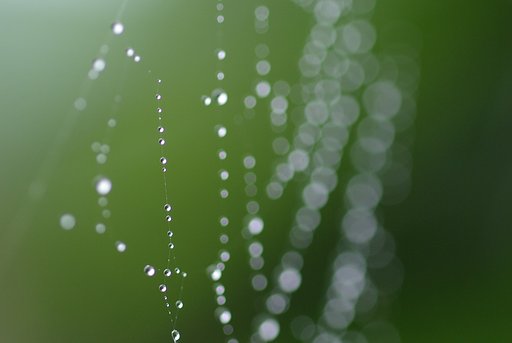 雨上がり