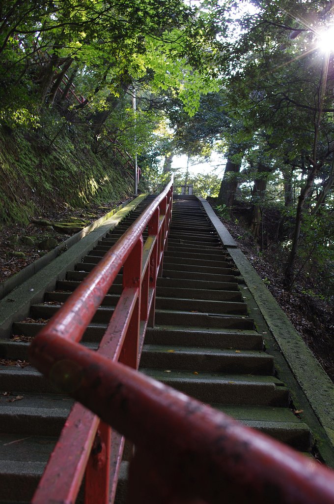 琵琶湖　海津の大崎寺
