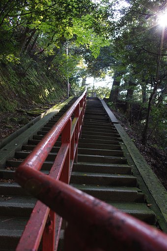 琵琶湖　海津の大崎寺