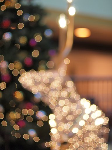 クリスマス生まれのトナカイ