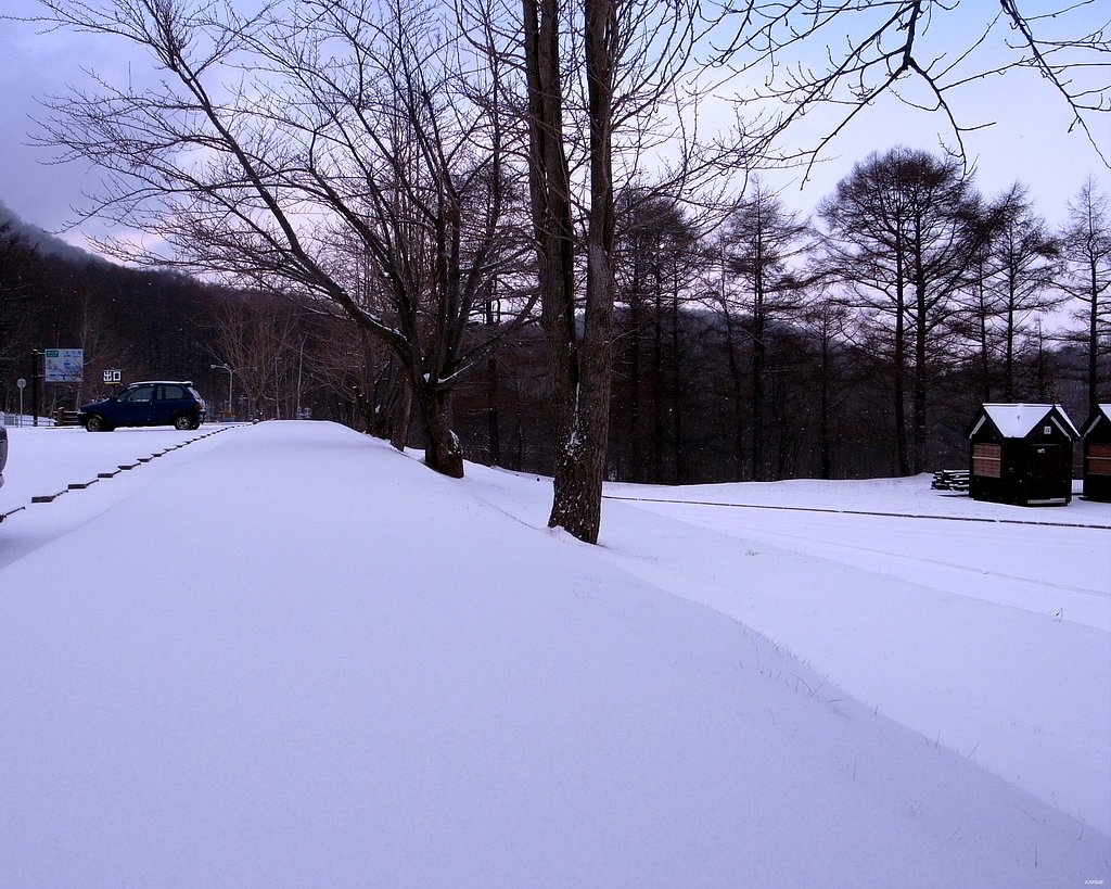 雪景色