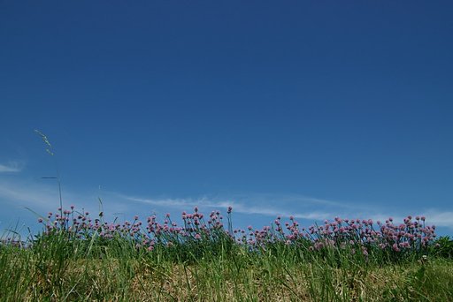 深い初夏の空