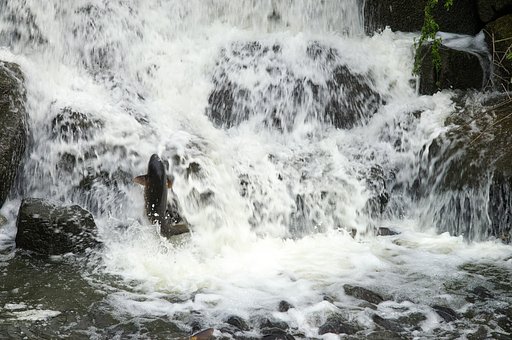【水】頑張る。