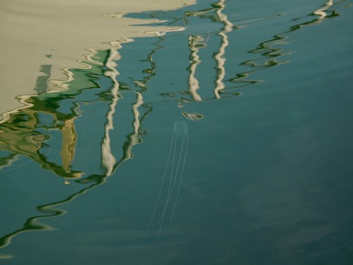 ゆらゆら[流]れて