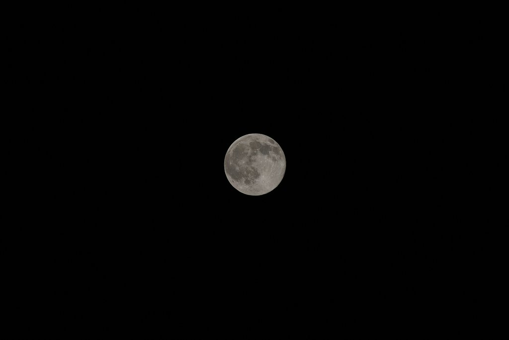 SIGMA APO50-500mmF4-6.3EX