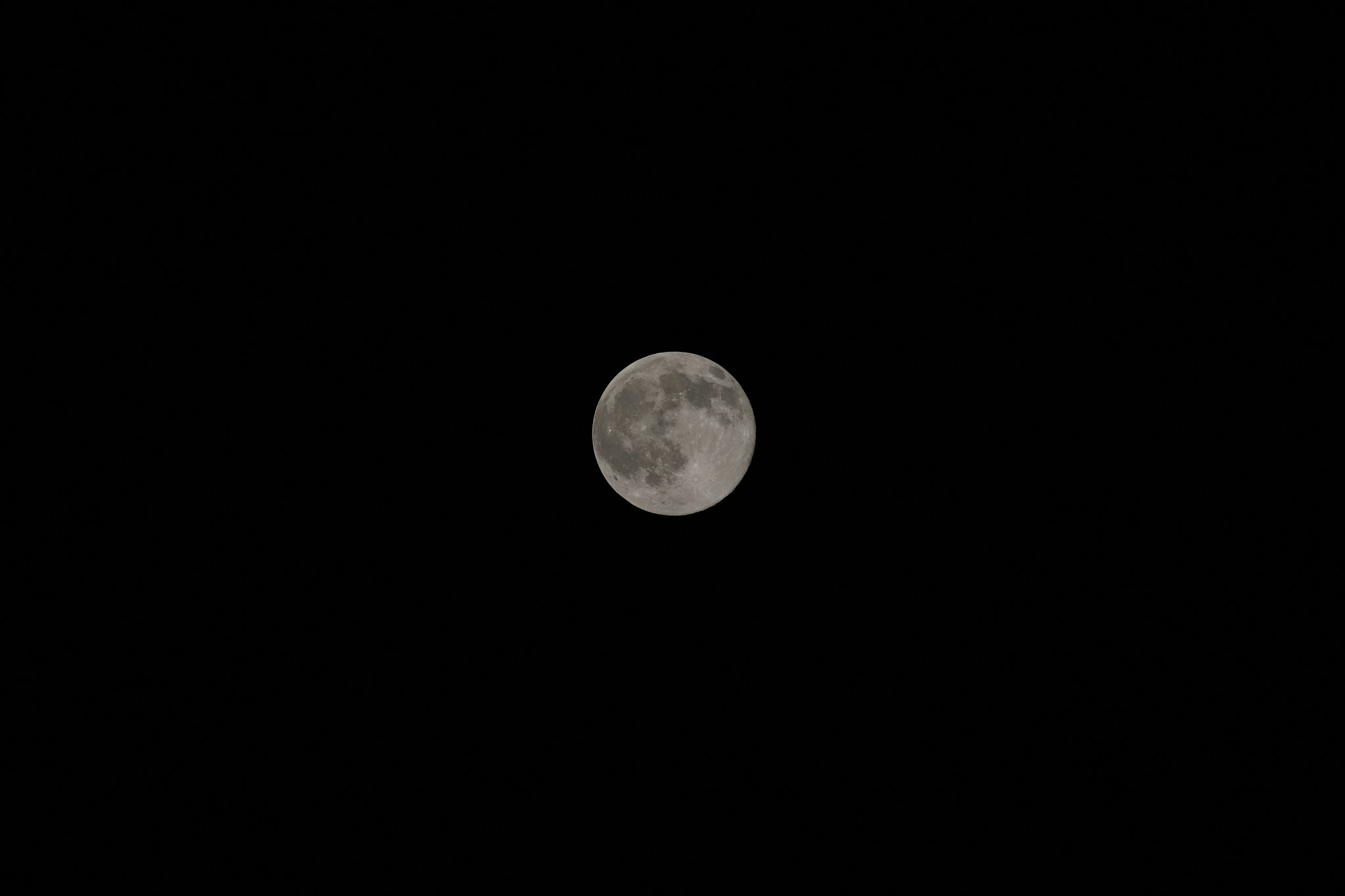 SIGMA APO50-500mmF4-6.3EX