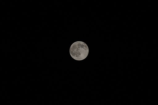 SIGMA APO50-500mmF4-6.3EX