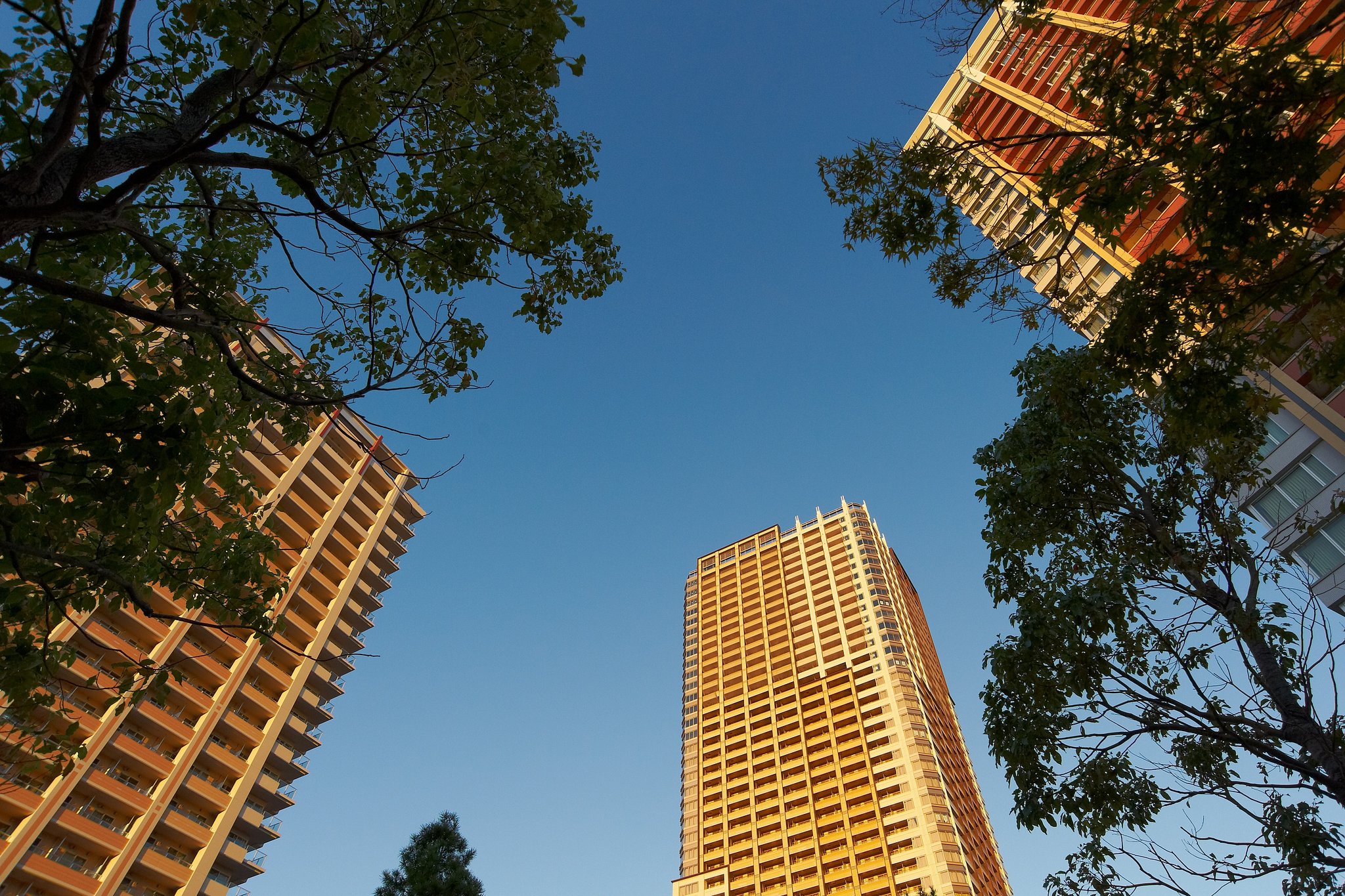 東京の空