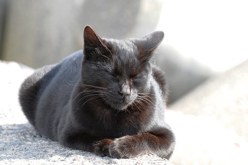 まったり。