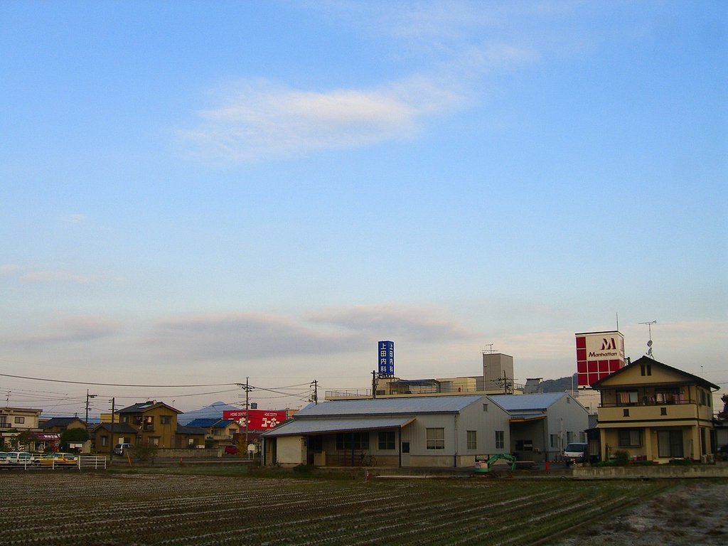 霜が降りました