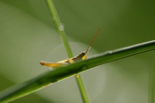 7月23日の写真