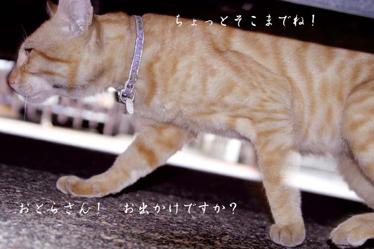 おとらさん