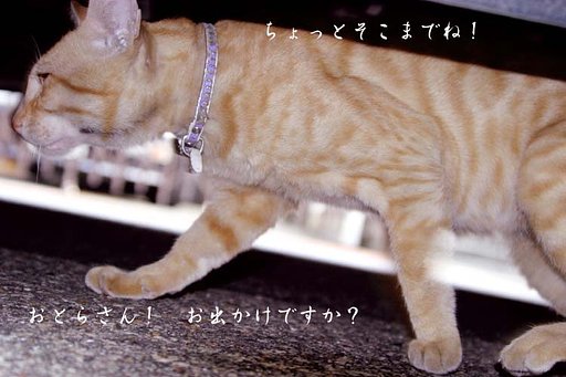 おとらさん