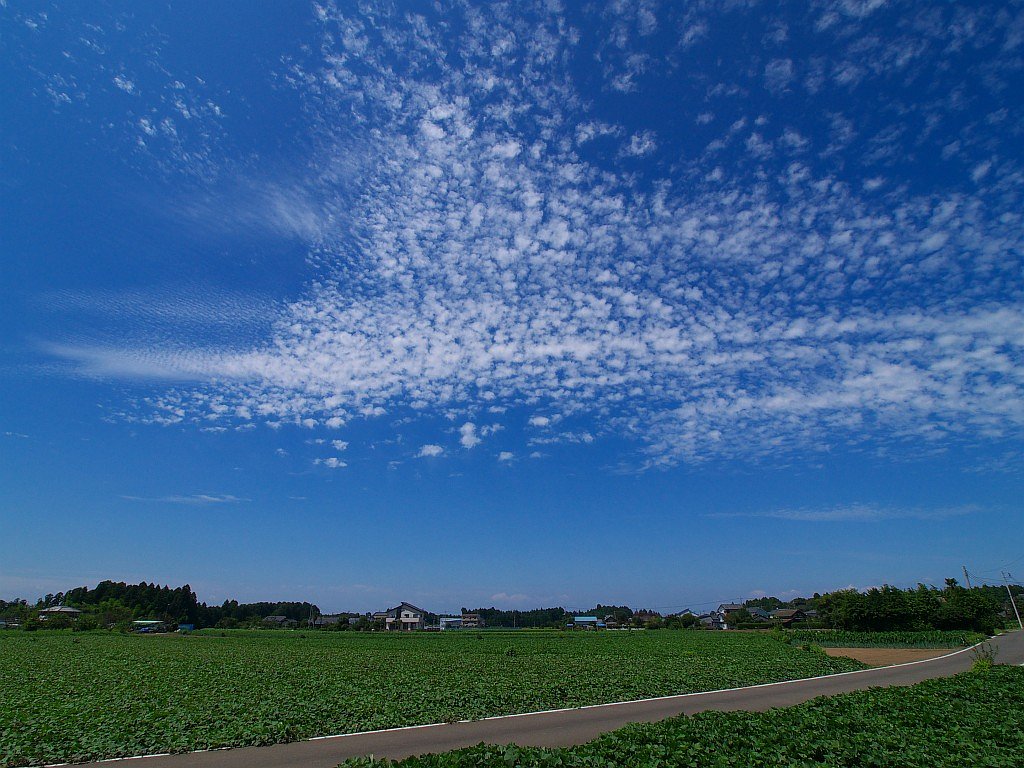 秋空?^^;