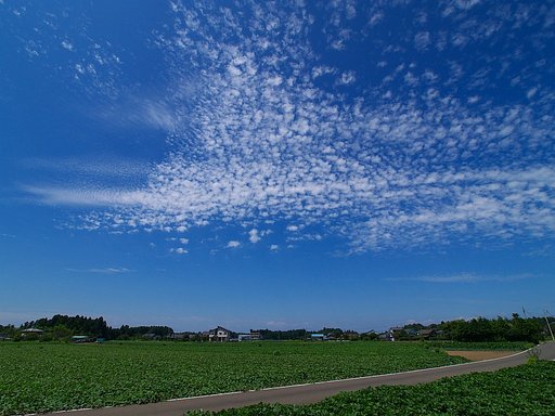 秋空?^^;