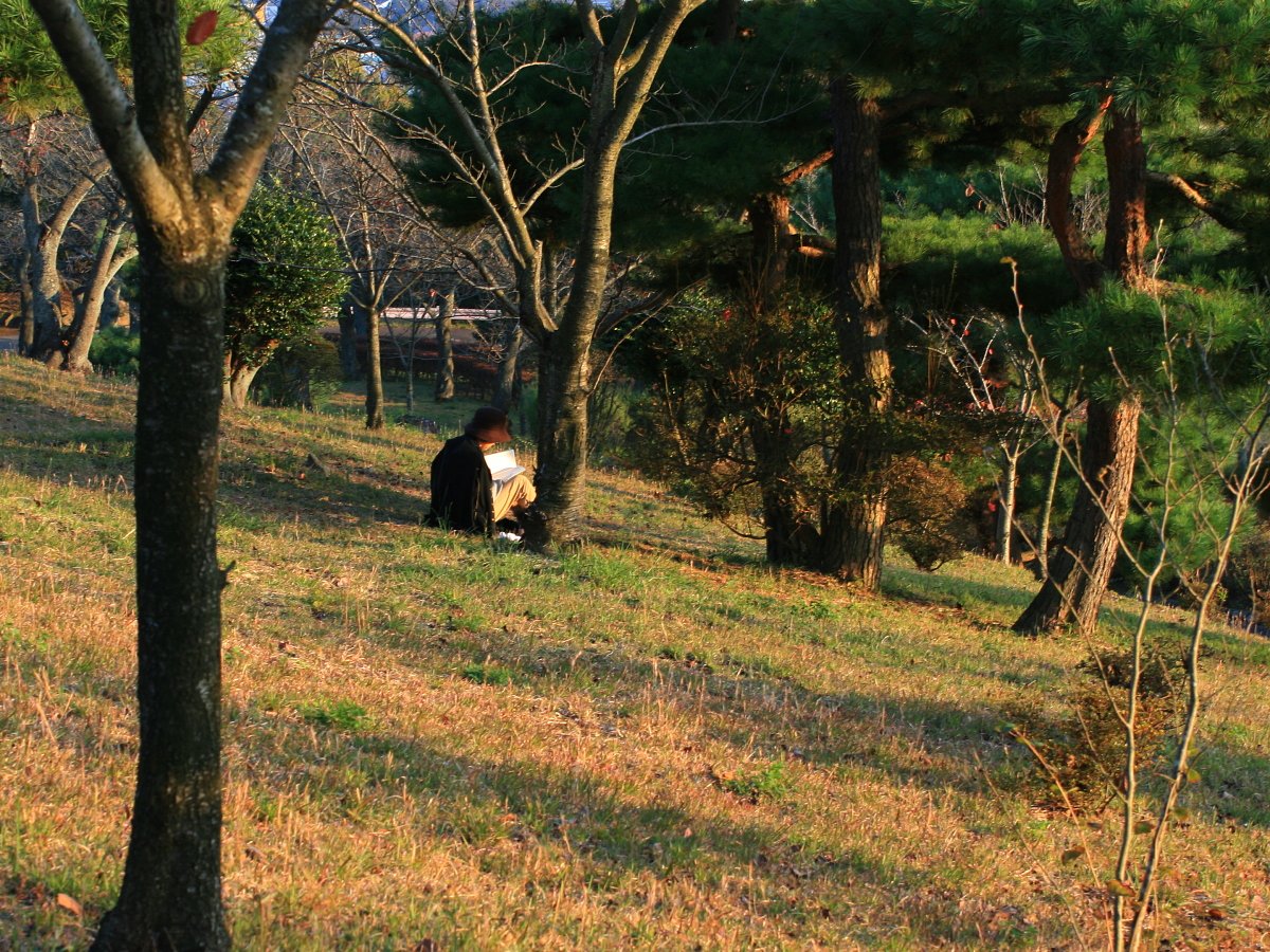 読書の【秋】