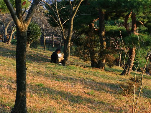 読書の【秋】