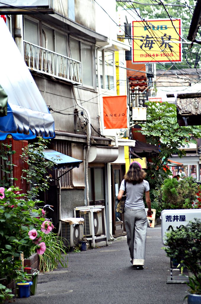 【夏】浅草路地裏