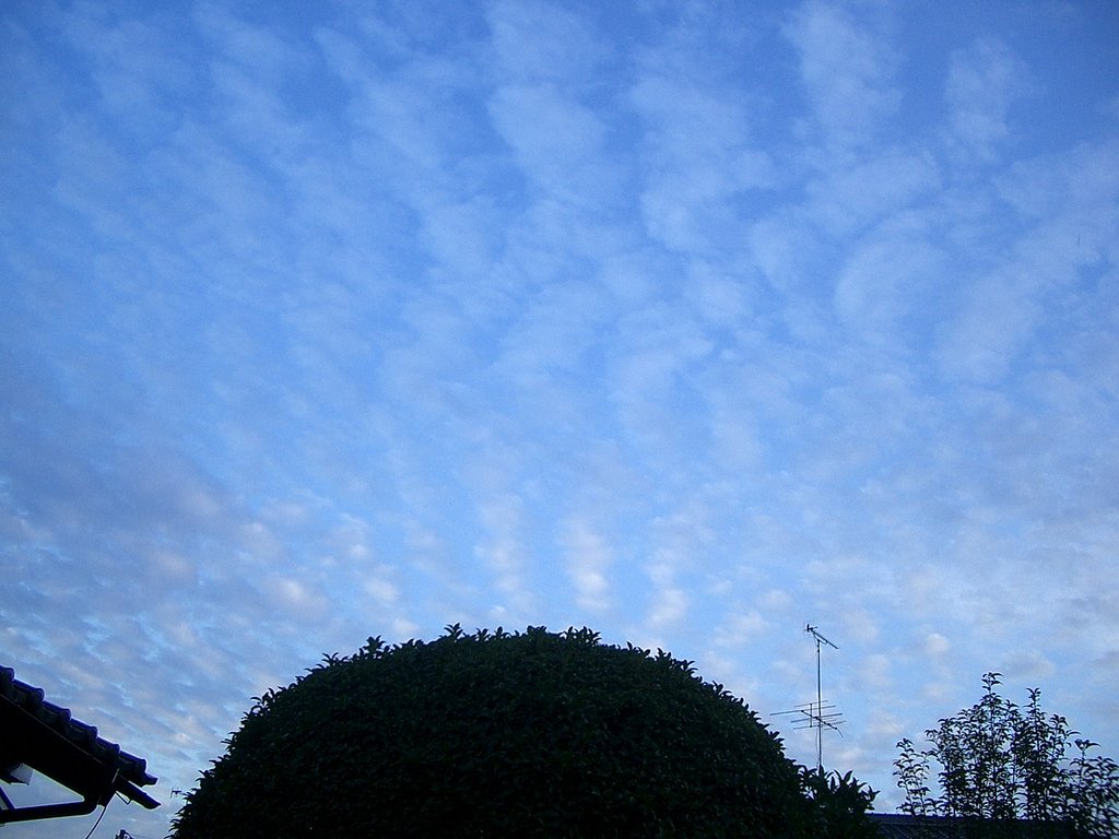 綿雲その2