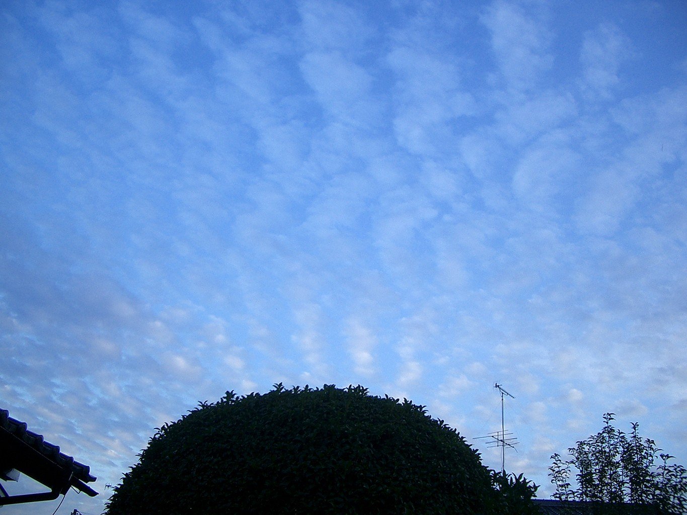 綿雲その2